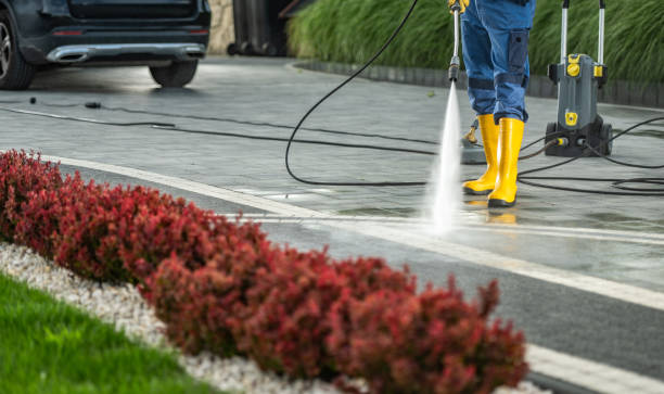 Trusted Severna Park, MD Pressure Washing Services Experts